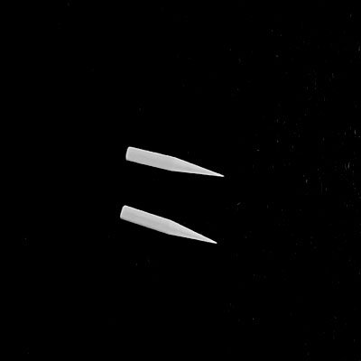010.jpg